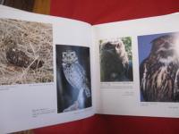 世界のふくろう Owls of The World 【自然・生物・動物・鳥・趣味・小物・グッズ】