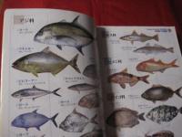 沖縄  　沖釣り　　磯釣り　　徹底仕掛け　　　 保存版　　　　　  【沖縄・琉球・自然・フィッシング・海洋レジャー】