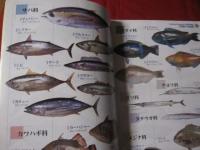 沖縄  　沖釣り　　磯釣り　　徹底仕掛け　　　 保存版　　　　　  【沖縄・琉球・自然・フィッシング・海洋レジャー】