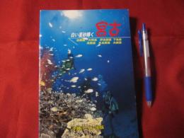 ぐるっと沖縄シリーズ⑤ 白い星砂輝く宮古 池間島 大神島 伊良部島 下地島 来間島 多良間島 水納島 【沖縄・琉球・自然・離島・旅行ガイド】