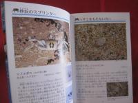 沖縄のサンゴ礁を楽しむ    　　  磯の生き物    　　　 写真点数４０２点　　  　  オールカラーで２６０種紹介！  　　　    【沖縄・琉球・自然・生物・動物・魚】