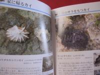 沖縄のサンゴ礁を楽しむ    　　  磯の生き物    　　　 写真点数４０２点　　  　  オールカラーで２６０種紹介！  　　　    【沖縄・琉球・自然・生物・動物・魚】