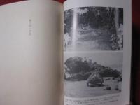 神と村 【沖縄・琉球・歴史・文化・民俗】