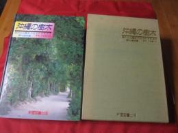 カラー版 沖縄の樹木 庭から公園までの緑化植物集 新里孝和