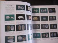 世界海産貝類大図鑑 R．T．アボット S．P．ダンス 【自然