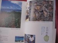 沖縄の離島　　４５　　 　島のめぐみの食べある記　　　　　　　　 【沖縄・琉球・歴史・食文化】