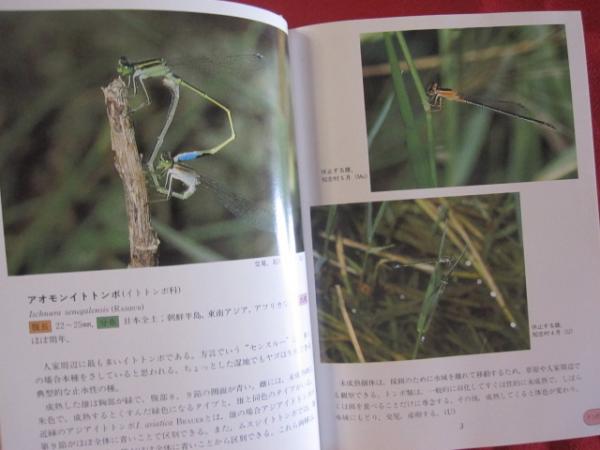 沖縄昆虫野外観察図鑑 第4巻 トンボ目 直翅目 その他の昆虫 【沖縄