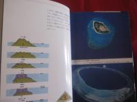 サンゴ礁の世界 ＣＯＲＡＬ ＲＥＥＦ 白井祥平著 【沖縄・琉球・海洋生物】