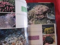 サンゴ礁の世界 ＣＯＲＡＬ ＲＥＥＦ 白井祥平著 【沖縄・琉球・海洋生物】