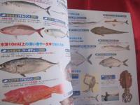 はじめて釣る　　　沖縄　　　 防波堤ガイド　　　 　特集！ 　ハイブリッドフィッシング　「虎の巻」　　　　　　　　　 【沖縄・琉球・自然・趣味・アウトドア・海洋レジャー】