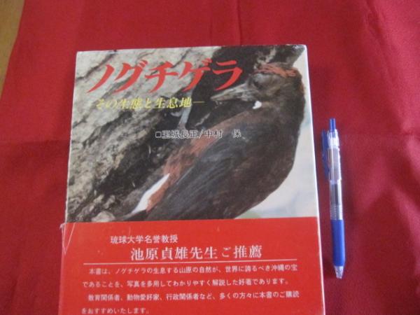 ノグチゲラ ― その生態と生息地 ― 【沖縄・琉球・自然・生物・野鳥