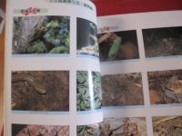 沖縄県の絶滅のおそれのある野生動物 レッドデータおきなわ 【沖縄・琉球・自然・生物・植物】