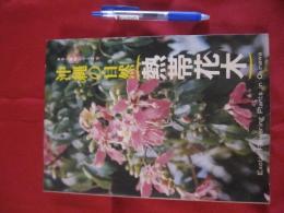 沖縄の自然 熱帯花木 カラー百科シリーズ⑤ 【沖縄・琉球・自然・植物・樹木】