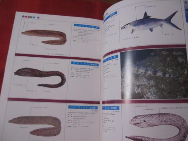 沖縄有毒害生物大事典 動物編 【沖縄・琉球・自然・生物