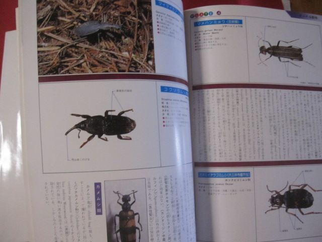 沖縄有毒害生物大事典 動物編 【沖縄・琉球・自然・生物
