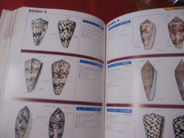沖縄有毒害生物大事典 動物編 【沖縄・琉球・自然・生物