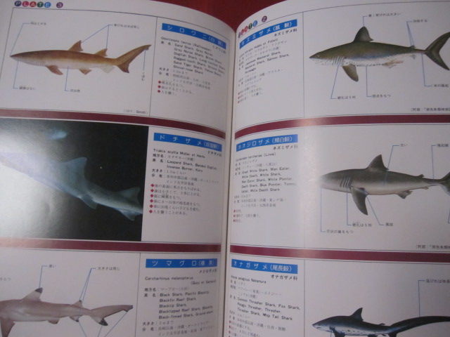 沖縄有毒害生物大事典 動物編 【沖縄・琉球・自然・生物