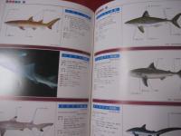 ☆沖縄有毒害生物大事典 動物編 【沖縄・琉球・自然・生物】