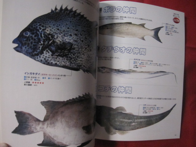 沖縄の釣魚スペシャル 釣れる魚 釣りたい魚 ２４５種 沖縄 琉球 趣味 フィッシング 文化 編集人 城 一人 古本 中古本 古書籍の通販は 日本の古本屋 日本の古本屋