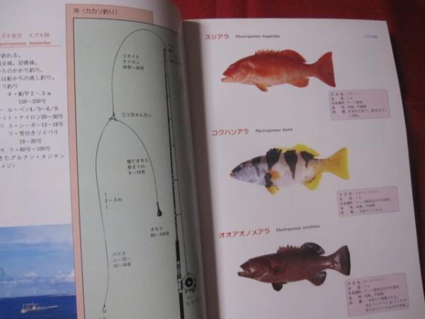 沖縄 ｏｋｉｎａｗａ 釣りと魚の図鑑 最新の仕掛けと魚たち 琉球 趣味 フィッシング アウトドア 海洋レジャー 自然 編著 リュウホン釣り同好会 文華堂書店 古本 中古本 古書籍の通販は 日本の古本屋 日本の古本屋