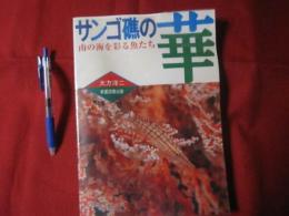 サンゴ礁の華 南の海を彩る魚たち 【沖縄・琉球・自然・生物・動物・魚類・図鑑】