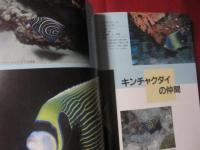 サンゴ礁の華 南の海を彩る魚たち 【沖縄・琉球・自然・生物・動物・魚類・図鑑】