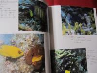 サンゴ礁の華 南の海を彩る魚たち 【沖縄・琉球・自然・生物・動物・魚類・図鑑】