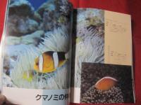 サンゴ礁の華 南の海を彩る魚たち 【沖縄・琉球・自然・生物・動物・魚類・図鑑】