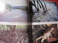 西表島 マングローブの生き物たち 【沖縄・琉球・歴史・文化・自然・離島・亜熱帯】
