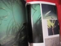 西表島      マングローブの生き物たち  　　吉見 光治　  著    　　ニライ社  　発行   　　　　    【沖縄・琉球・歴史・文化・自然・離島・亜熱帯】