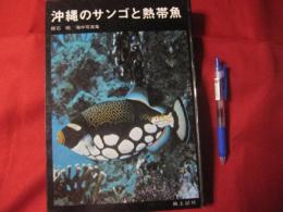 沖縄のサンゴと熱帯魚　　　　　　　　　　 【沖縄・琉球・海洋生物・魚類・生物・自然・写真集】