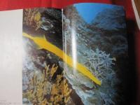 沖縄のサンゴと熱帯魚　　　　　　　　　　 【沖縄・琉球・海洋生物・魚類・生物・自然・写真集】