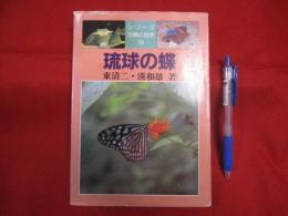 琉球の蝶 【沖縄・琉球・自然・生物・動物・昆虫】