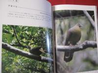 カラー百科シリーズ　　　 沖縄の自然 　　　 [野鳥] 　　　　 【沖縄・琉球・自然・生物・動物・鳥類】
