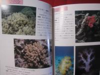 沖縄海中生物図鑑　全11巻 セット 沖縄海中生物図鑑 第11巻 ◇ヒトデ・ナマコ・ゴカイ