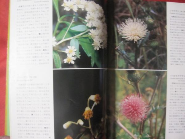 沖縄の山野の花 沖縄 琉球 自然 植物 著者 多和田真淳 高良拓夫 文華堂書店 古本 中古本 古書籍の通販は 日本の古本屋 日本の古本屋