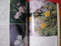 沖縄の山野の花    　　  多和田 　真淳　 ・　 高良　 拓夫　  著  　　    風土記社 　 発行 　　　　         【沖縄・琉球・自然・植物】