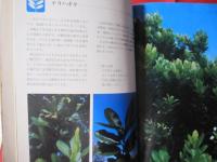 ☆★☆カラー百科シリーズ  ①       沖縄の自然    〔 植物 〕             【沖縄・琉球・自然・植物・文化】