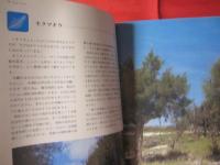 ☆カラー百科シリーズ　① 　　沖縄の自然　 〔　植物　〕　　　　　　　　 【沖縄・琉球・自然・植物・文化】