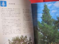 ☆カラー百科シリーズ　① 　　沖縄の自然　 〔　植物　〕　　　　　　　　 【沖縄・琉球・自然・植物・文化】