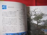 ☆カラー百科シリーズ　① 　　沖縄の自然　 〔　植物　〕　　　　　　　　 【沖縄・琉球・自然・植物・文化】