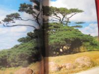 ☆カラー百科シリーズ　① 　　沖縄の自然　 〔　植物　〕　　　　　　　　 【沖縄・琉球・自然・植物・文化】
