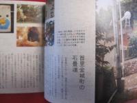沖縄のおさんぽ なつかしい島に帰りましょう。 【沖縄・琉球・文化】