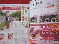 コーラルウェイ 特集：自転車で行こう！ 【沖縄・琉球・歴史・文化・自然・離島】