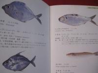 方言でしらべる　　沖縄の魚図鑑　　　　　　　 【沖縄・琉球・自然・海洋生物】