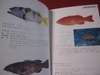 方言でしらべる沖縄の魚図鑑 【沖縄・琉球・自然・生物】