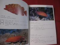 方言でしらべる　　沖縄の魚図鑑　　　　　　　 【沖縄・琉球・自然・海洋生物】