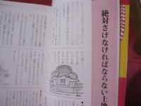 琉球風水 　　　　福を招く家づくり墓づくり 　　　　　　【沖縄・琉球・歴史・文化】