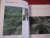 図鑑 　　 琉球列島有用樹木誌　　   天野 哲夫 著  　　澤岻 安喜 写真    　　限定２０００部     　　   【沖縄・琉球・植物・自然】
