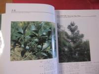 図鑑 　　 琉球列島有用樹木誌　　   天野 哲夫 著  　　澤岻 安喜 写真    　　限定２０００部     　　   【沖縄・琉球・植物・自然】